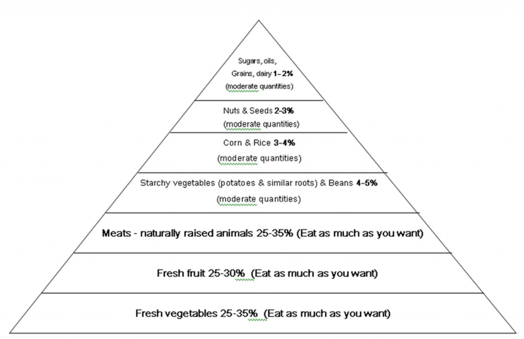 A-Food-Pyramid-Respecting-The-Natural-Human-Diet