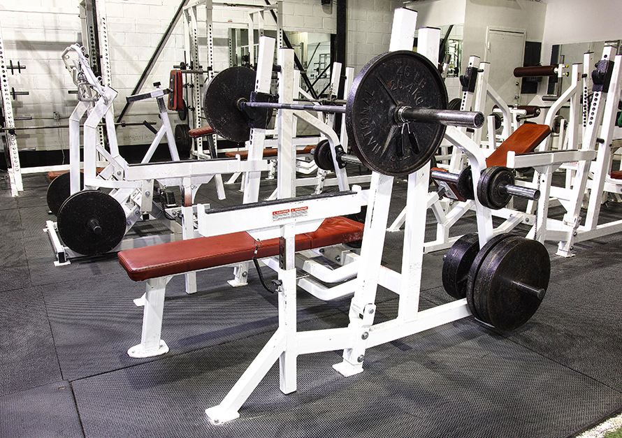 Fortis Gym Toronto's Home for Truly Effective Fitness & Personal