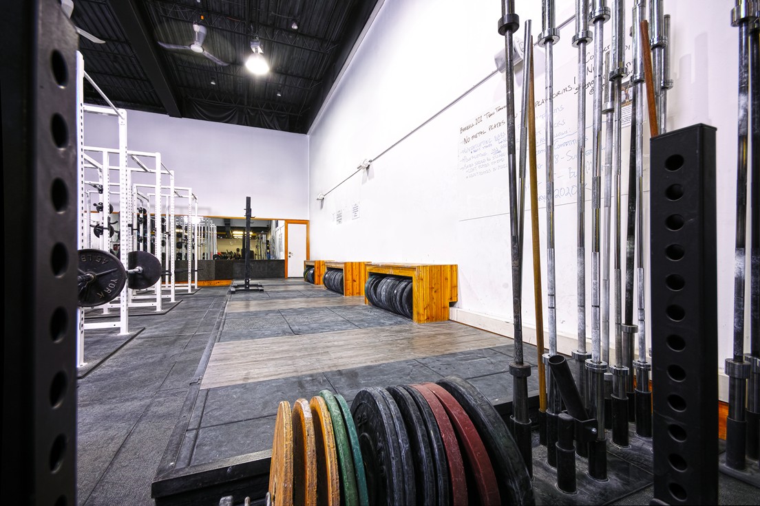 Fortis Gym Toronto's Home for Truly Effective Fitness & Personal Training