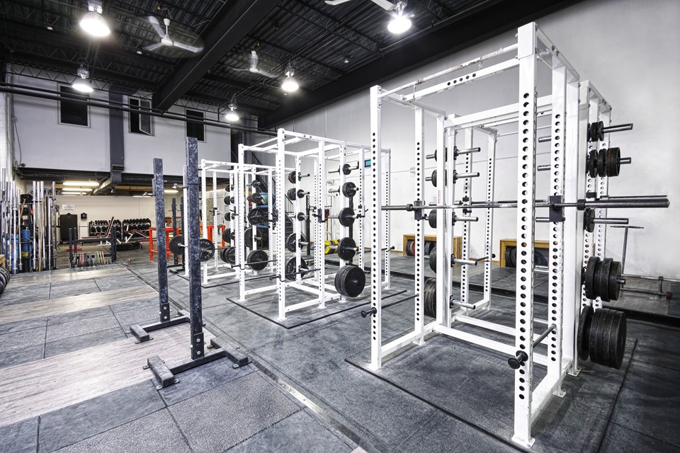 Fortis Gym Toronto's Home for Truly Effective Fitness & Personal Training