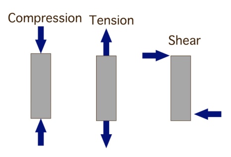 Figure 1 illustrates: “Biomechanical Analysis of the Deadlift 